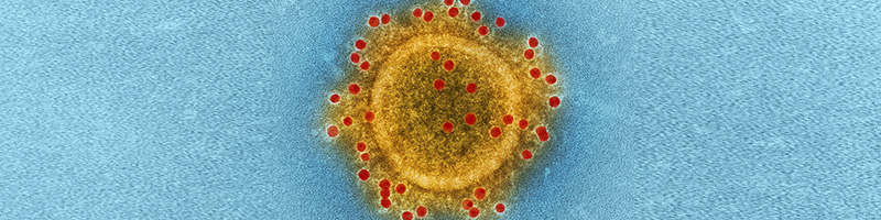 allergy and asthma month
